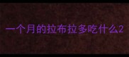 一个月的拉布拉多吃什么