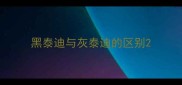 黑泰迪与灰泰迪的区别