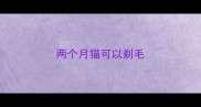 两个月猫可以剃毛