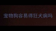 宠物狗容易得狂犬病吗