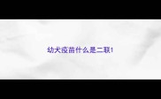 幼犬疫苗什么是二联