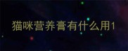 猫咪营养膏有什么用