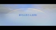 都可以养什么宠物