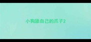 小狗舔自己的爪子