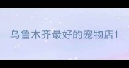 乌鲁木齐最好的宠物店