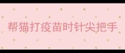 帮猫打疫苗时针尖把手