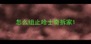 怎么组止哈士奇拆家