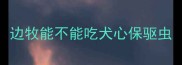 边牧能不能吃犬心保驱虫