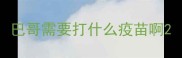 巴哥需要打什么疫苗啊