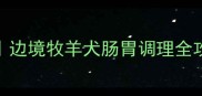 边牧腹泻自救指南边境牧羊犬肠胃调理全攻略附真实案例
