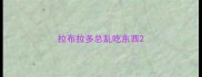 拉布拉多总乱吃东西