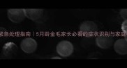 幼犬犬瘟热紧急处理指南5月龄金毛家长必看的症状识别与家庭护理全攻略