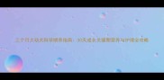 三个月大幼犬科学喂养指南30天成长关键期营养与护理全攻略