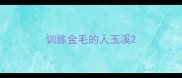 训练金毛的人玉溪