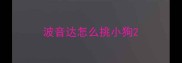 波音达怎么挑小狗
