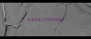 天津农业大学宠物医院