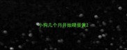 小狗几个月开始喂蛋黄