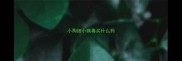 小狗细小病毒买什么药