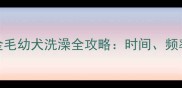 两个月大的金毛幼犬洗澡全攻略时间频率与注意事项