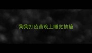 狗狗打疫苗晚上睡觉抽搐