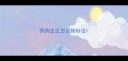 狗狗出生怎么做标记