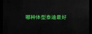 哪种体型泰迪最好