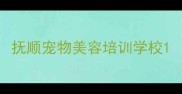 抚顺宠物美容培训学校