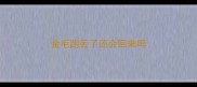 金毛跑丢了还会回来吗