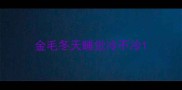 金毛冬天睡觉冷不冷