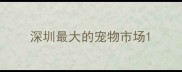 深圳最大的宠物市场
