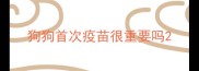 狗狗首次疫苗很重要吗