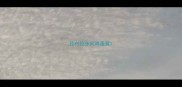 拉布拉多犬鸡蛋黄