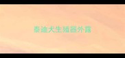 泰迪犬生殖器外露