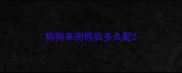 狗狗来例假后多久配