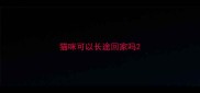 猫咪可以长途回家吗
