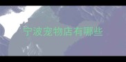 宁波宠物店有哪些