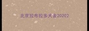 北京拉布拉多犬舍2020