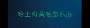 哈士奇黄毛怎么办