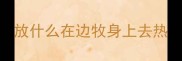 放什么在边牧身上去热