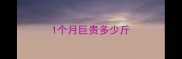 1个月巨贵多少斤