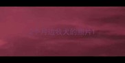 2个月边牧犬的照片