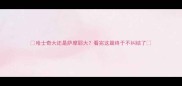 哈士奇大还是萨摩耶大看完这篇终于不纠结了