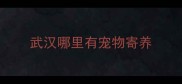 武汉哪里有宠物寄养