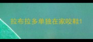 拉布拉多单独在家咬鞋