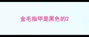 金毛指甲是黑色的