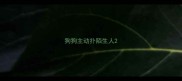 狗狗主动扑陌生人