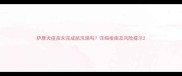 萨摩犬疫苗未完成能洗澡吗详细指南及风险提示
