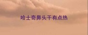 哈士奇鼻头干有点热