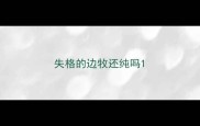 失格的边牧还纯吗
