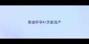 泰迪怀孕41天能流产